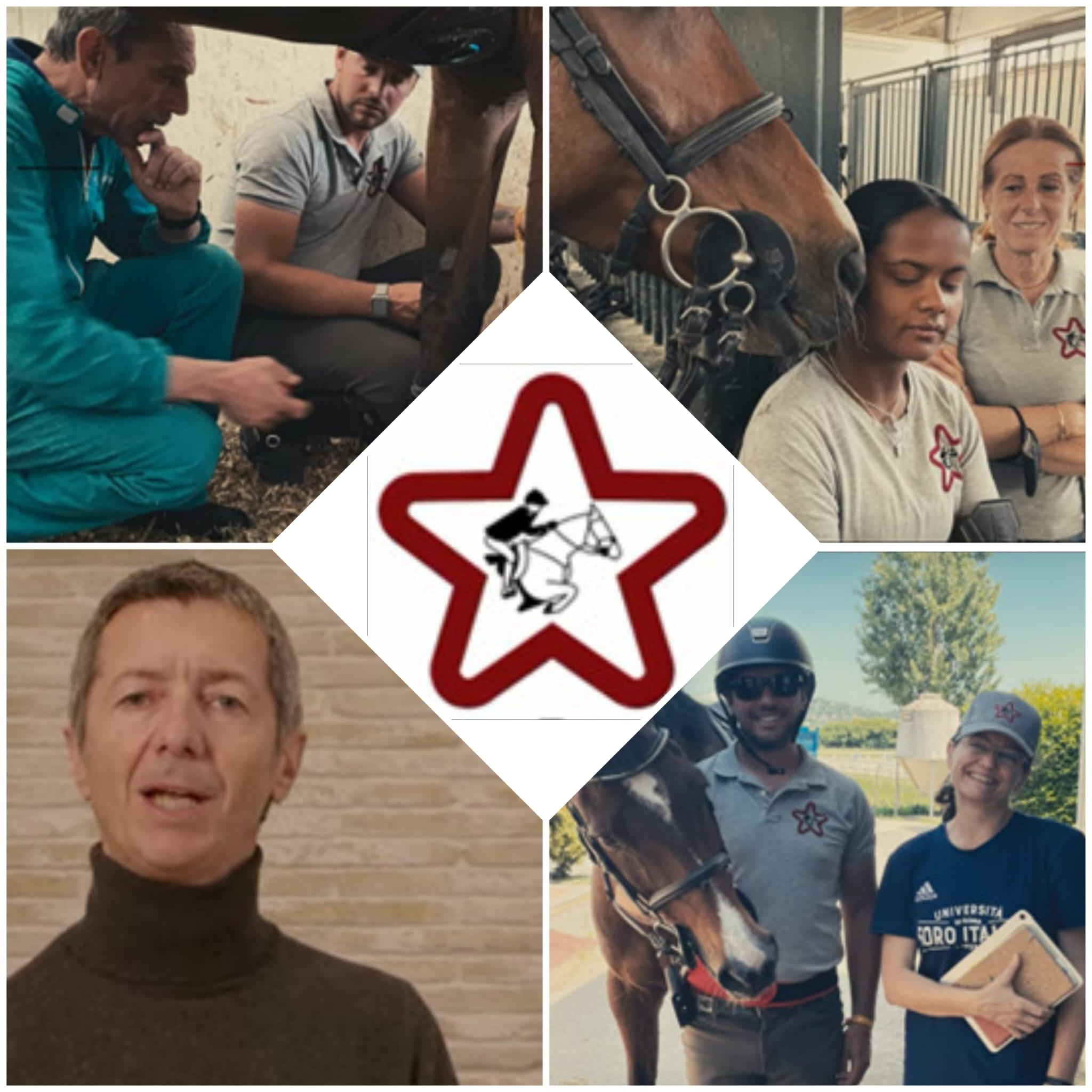 Armonia equestre - RACE