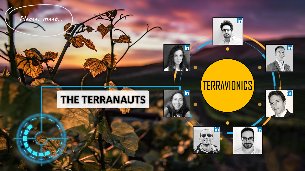 TERRAVIONICS